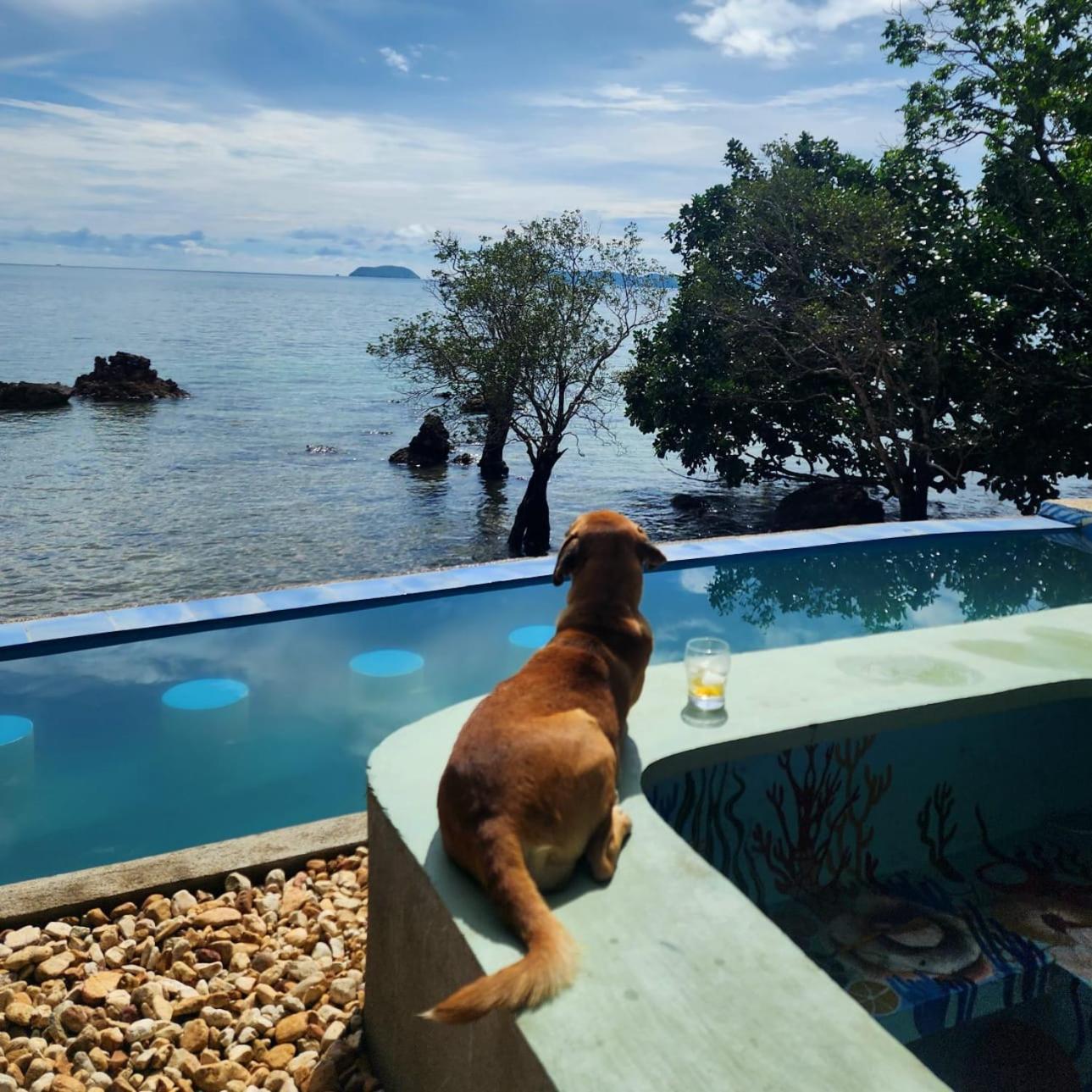 Cocovana Beach Resort (Adults Only) Busuanga Kültér fotó